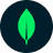 mongodb logo